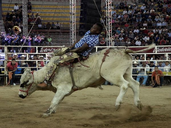 Liga Mexicana de Jaripeo Profesional - 2