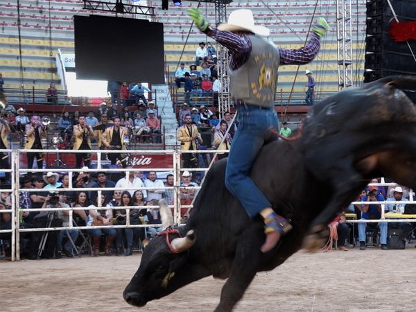 Liga Mexicana de Jaripeo Profesional - 1
