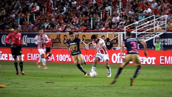 Fuerza Necaxa - Persistencia