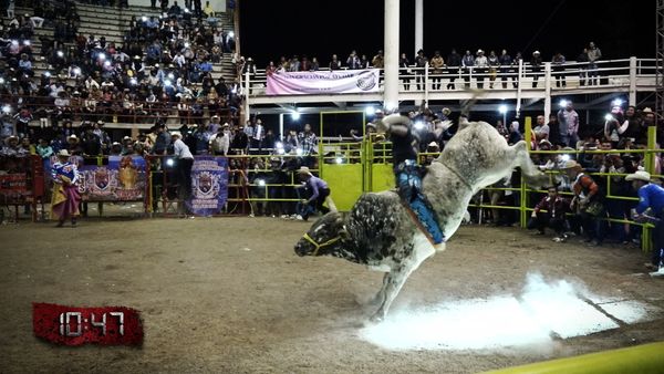Liga Mexicana de Jaripeo Profesional - 8