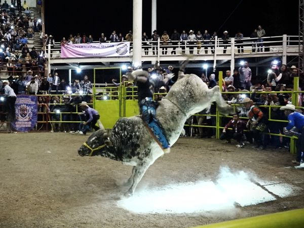 Liga Mexicana de Jaripeo Profesional - 8