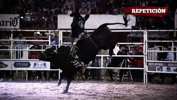 Liga Mexicana de Jaripeo Profesional - 13