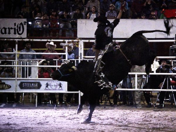 Liga Mexicana de Jaripeo Profesional - 13