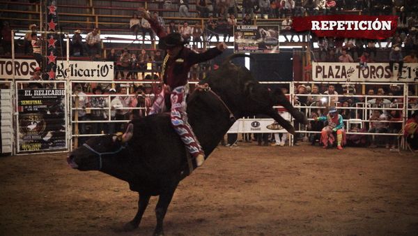 Liga Mexicana de Jaripeo Profesional - 12