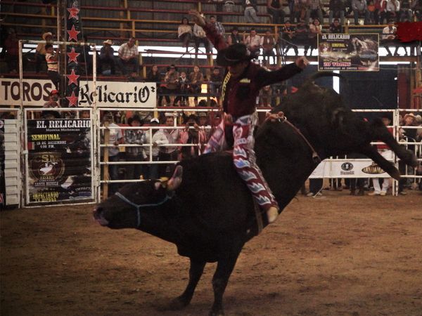 Liga Mexicana de Jaripeo Profesional - 12