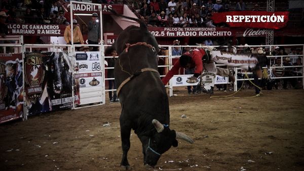 Liga Mexicana de Jaripeo Profesional - 3