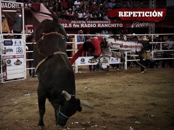 Liga Mexicana de Jaripeo Profesional - 3