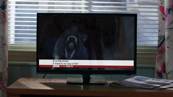 Wolfblood - The Last Dark Moon