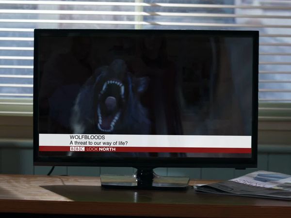 Wolfblood - The Last Dark Moon