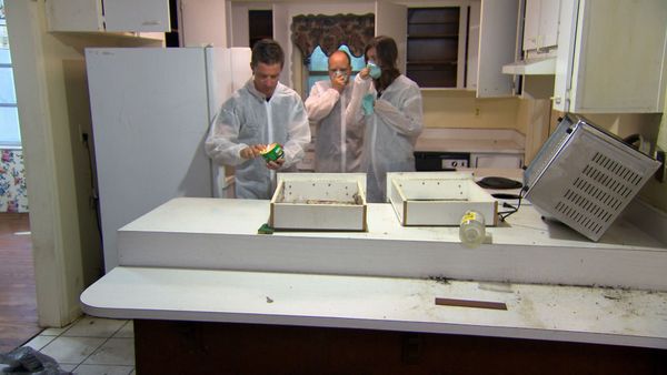 Zombie House Flipping - Don't Let the Bed Bugs Bite