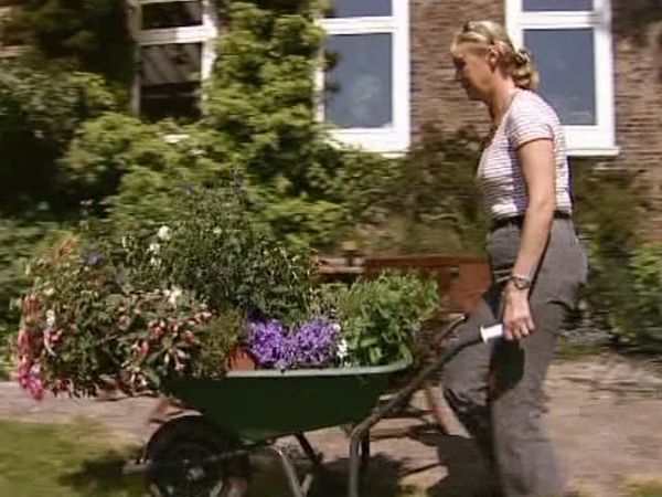 Das Gestüt - Fohlensaison