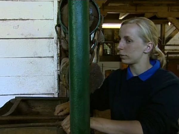 Das Gestüt - Eine schwere Geburt