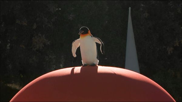 Wipeout USA - Gran manera de caer en la nieve