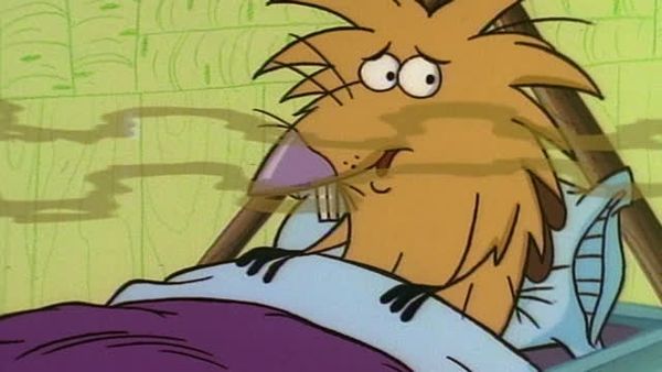 The Angry Beavers - El dedo apestoso / Buscando hogar