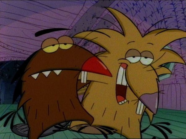 The Angry Beavers - Nacido para ser castores / Despiertos toda la noche