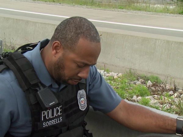 COPS - Cops Four Felonies and a Flat Tire