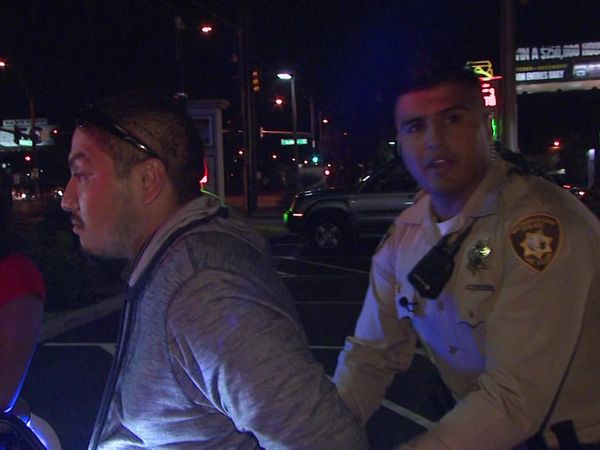 COPS - Cops Kicking and Screaming