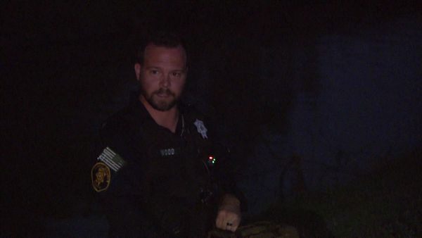 COPS - Cops Scaredy Cat