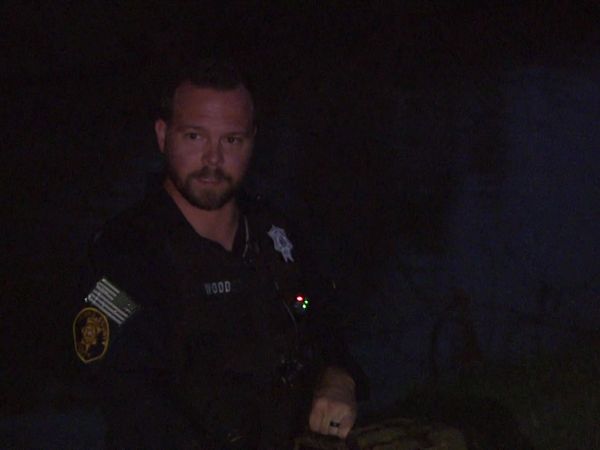 COPS - Cops Scaredy Cat