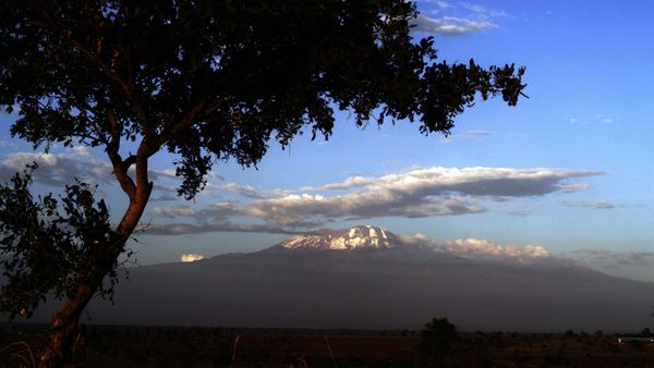 Nómadas del Serengueti - Nieve de kilimanjaro