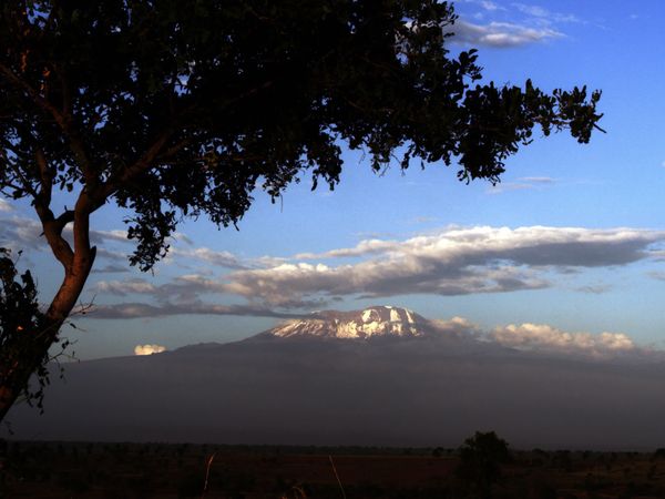 Nómadas del Serengueti - Nieve de kilimanjaro