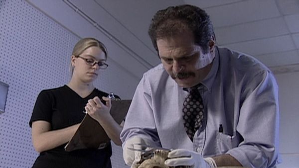 The New Detectives - Intenciones Asesinas
