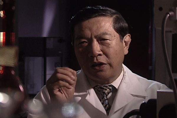 The New Detectives - Cuerpo del delito