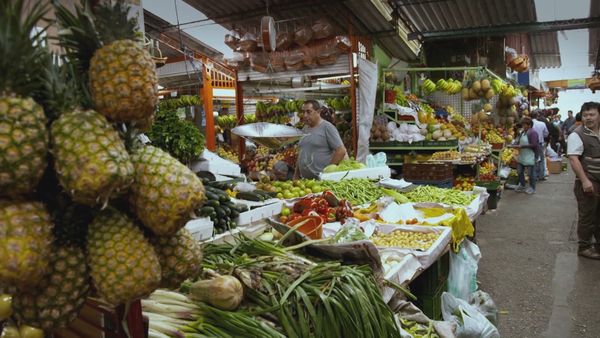 Anthony Bourdain Parts Unknown - Colombia