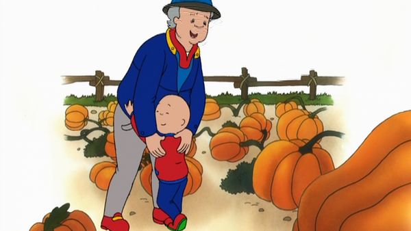 Caillou - El niño calabaza // Al ritmo de Caillou // Hazlo tú mismo // La gran venta de Caillou