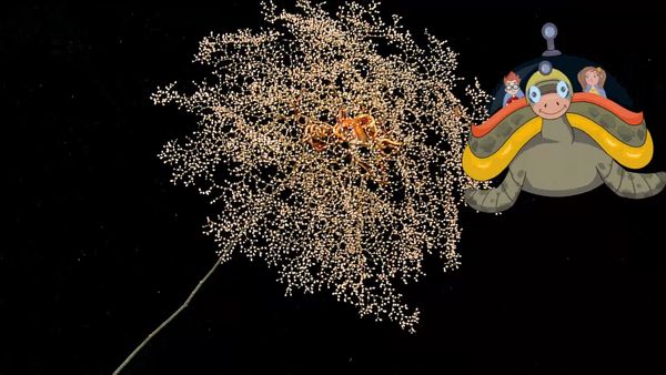 Misión submarina - Underwater Volcanoes