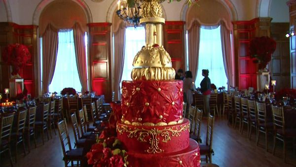 Amazing Wedding Cakes - Burgundy, Opossum and Pillow cakes