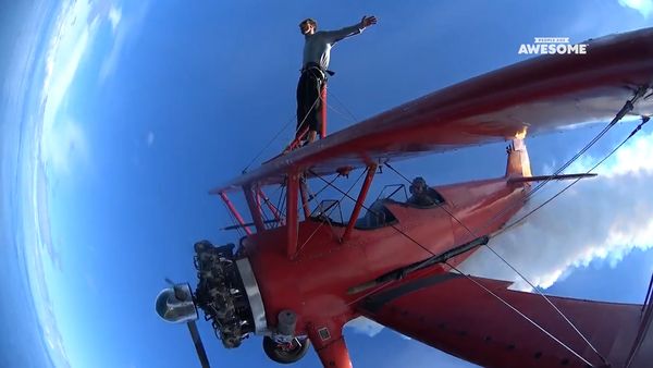 Videos Increíbles - El aire libre, Vol. 2