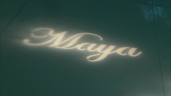 Platinum Weddings - Maya & Pav