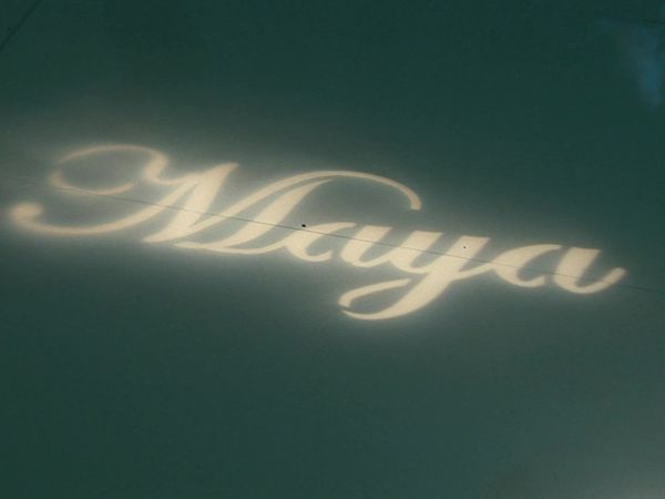 Platinum Weddings - Maya & Pav