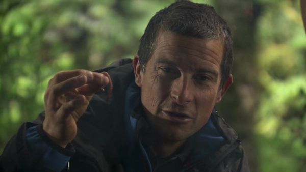 Bear Grylls: Survival School - Episode 9