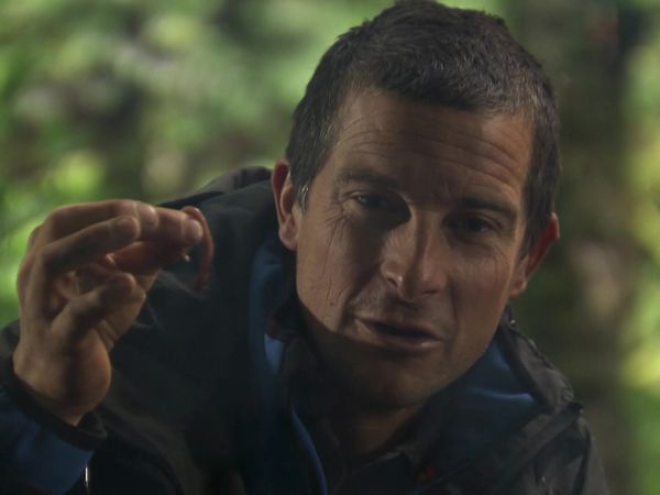 Bear Grylls: Survival School - Episode 9