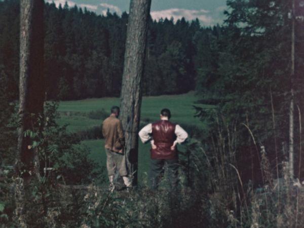 The Hitler Chronicles - An Arsonist