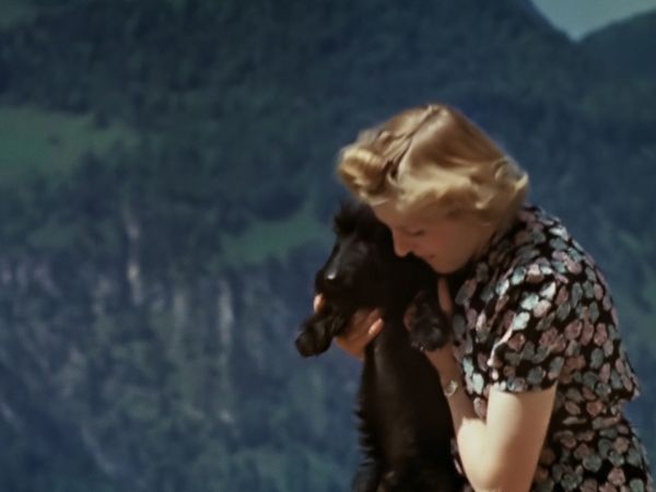 The Hitler Chronicles - The Fuerher