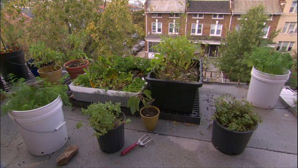 Smithsonian Garden Secrets - Episode 1