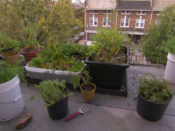 Smithsonian Garden Secrets - Episode 1
