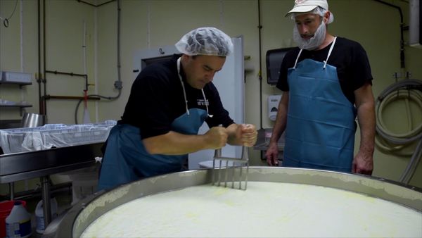Cocinar desde cero - Cocinar desde cero: Pizza