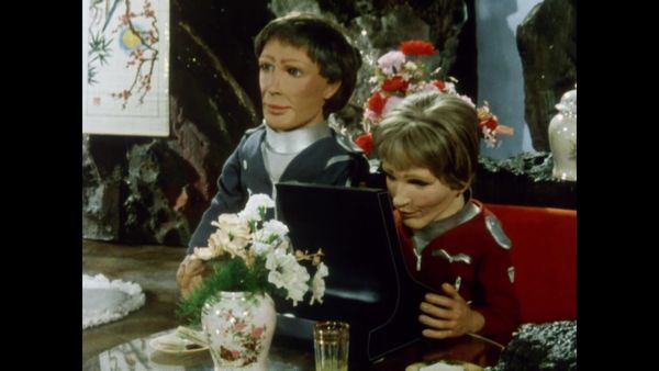 Terrahawks - Happy Madeday