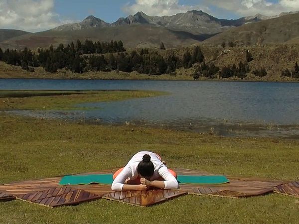 Conexión yoga - Episode 14