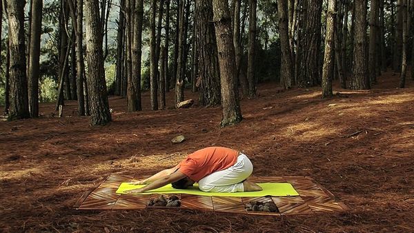 Conexión yoga - Episode 10