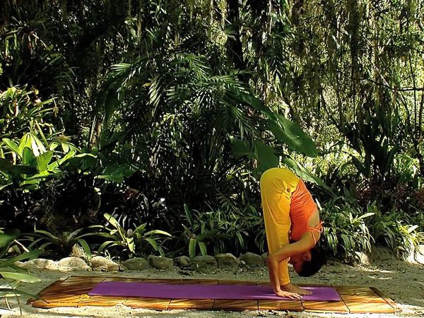 Conexión yoga - Episode 2