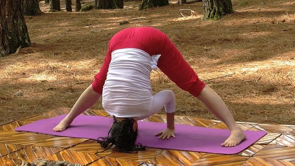 Conexión Yoga - Episodio 11