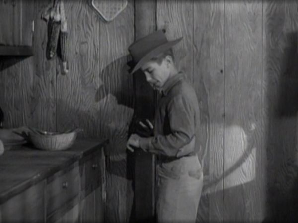 The Rifleman - The Pet