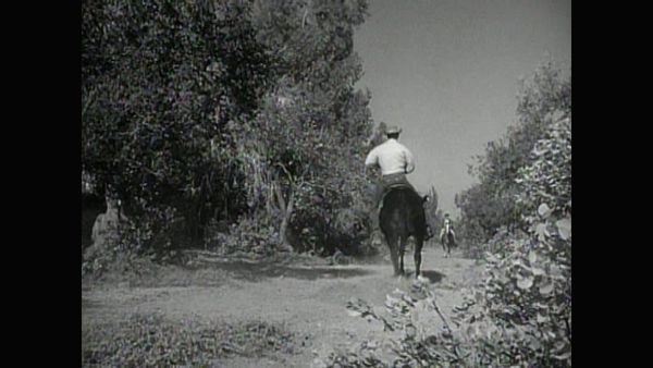 The Rifleman - Flowers by the Door