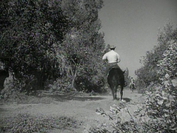 The Rifleman - Flowers by the Door