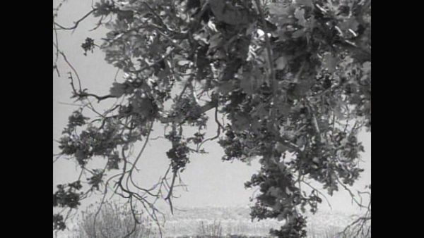 The Rifleman - Squeeze Play